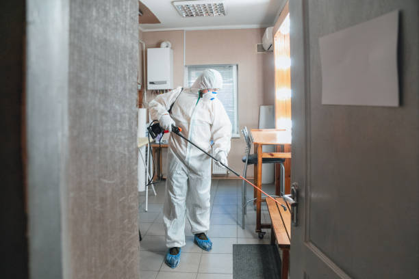 Best Mold Prevention Services  in Pearl, MS