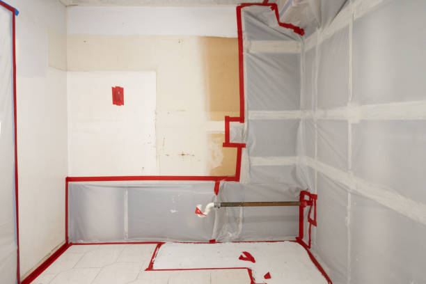 Best Attic Mold Removal  in Pearl, MS